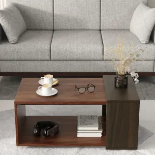 Center Table Ct 107 In Sheesham & Fumed Oak