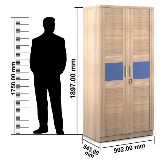 Coral 2 Door Wardrobe - Drift Wood