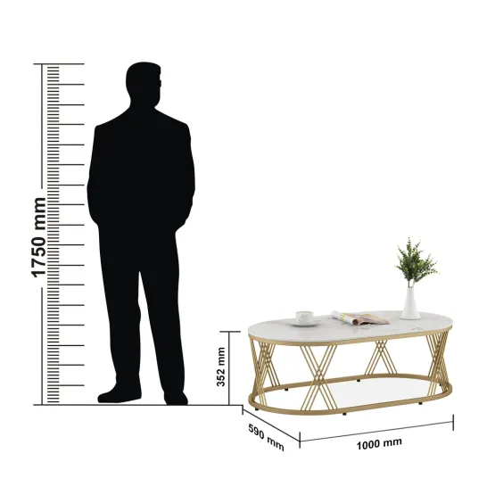 Center Table Roger Oval  With Ceramic Top And Metal Under Structure In Gold